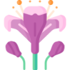 华体会APP logo